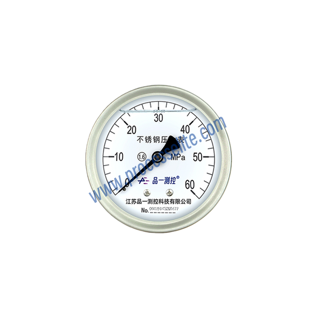Y-BF Stainless Steel Pressure Gauge - Processelite