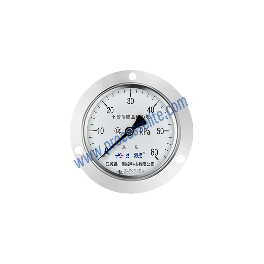 YE Capsule Pressure Gauge - Processelite