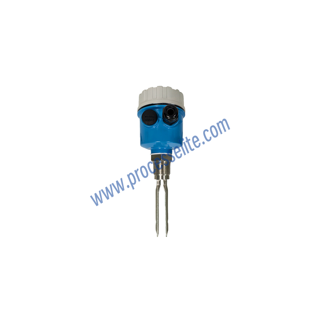 RLYN Vibrating Fork Level Switch - Processelite