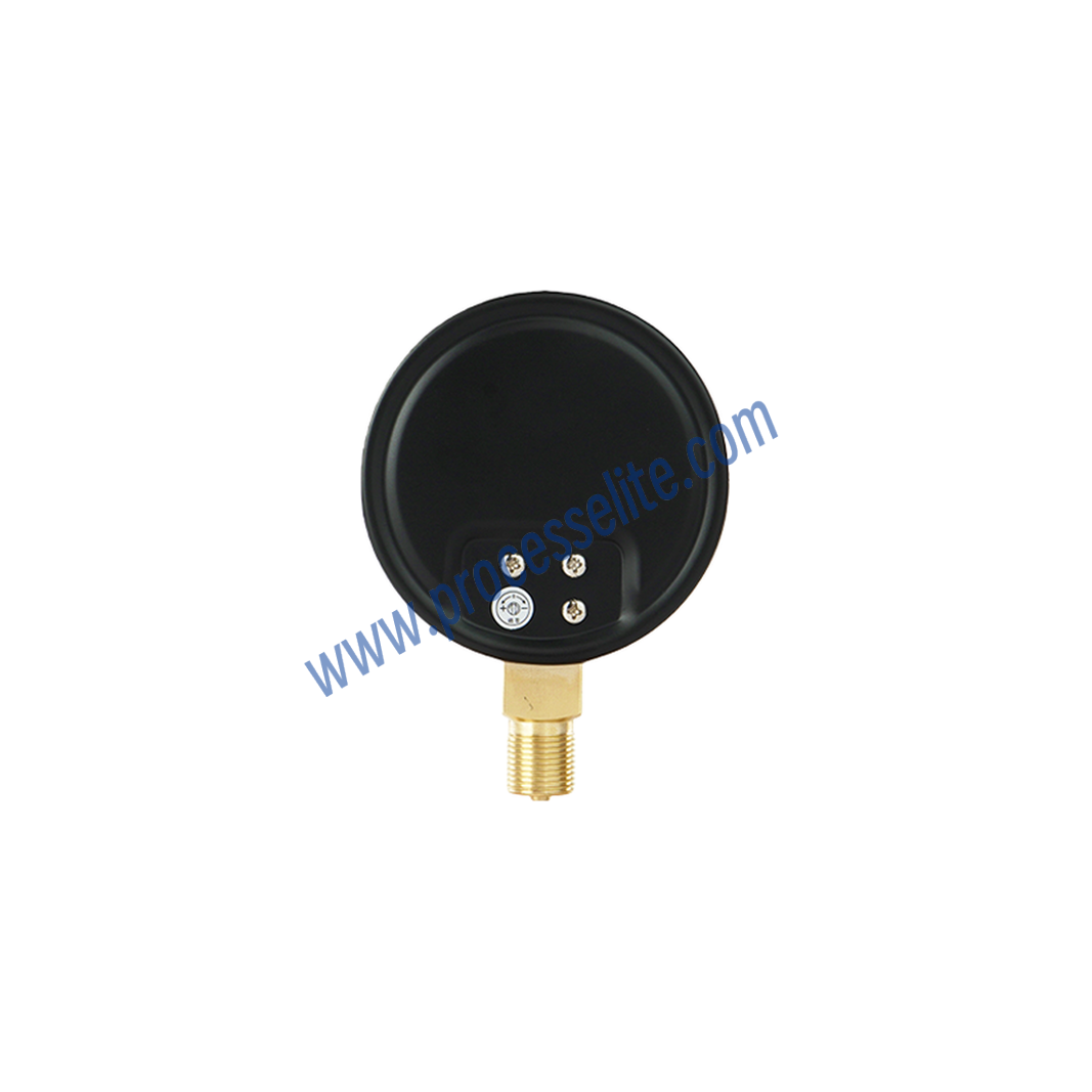 YE Capsule Pressure Gauge - Processelite