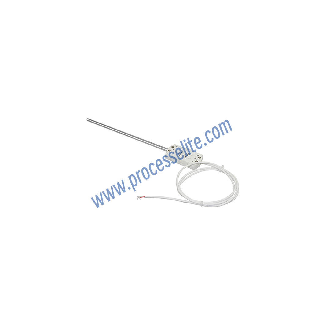 RTRT Cable-type RTD - Processelite