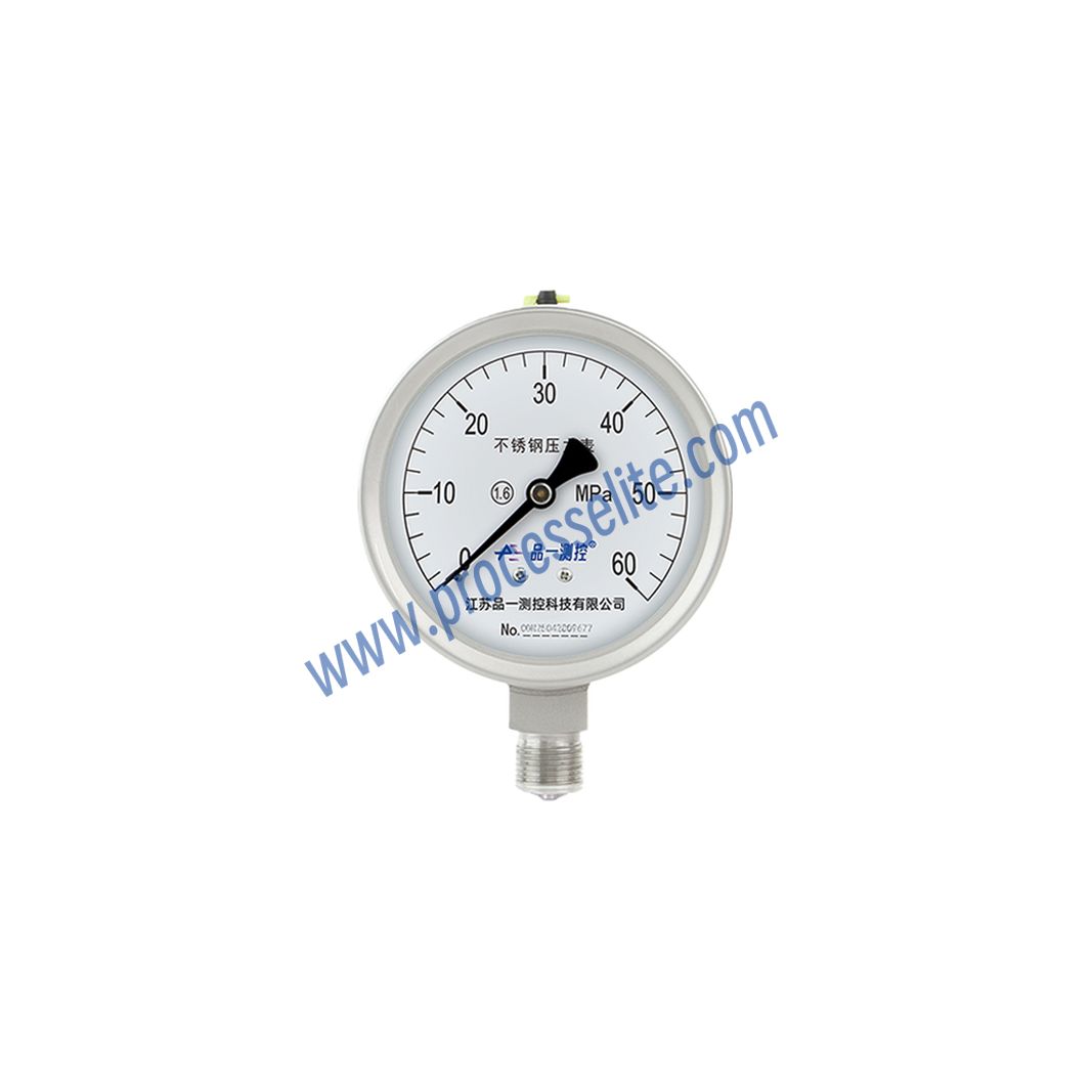 Y-BF Stainless Steel Pressure Gauge - Processelite