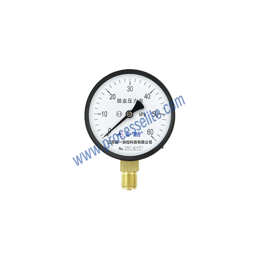 YE Capsule Pressure Gauge - Processelite