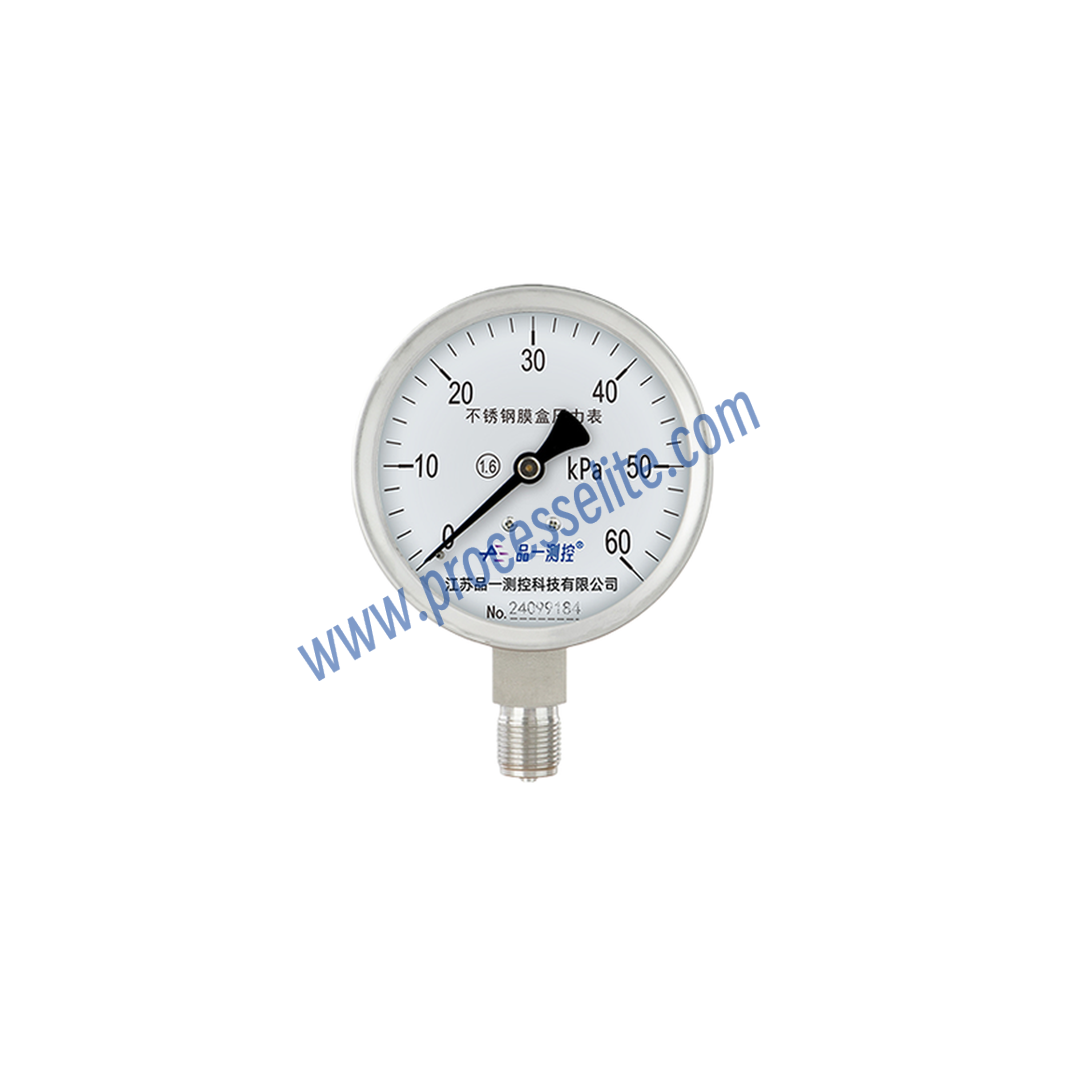 YE Capsule Pressure Gauge - Processelite