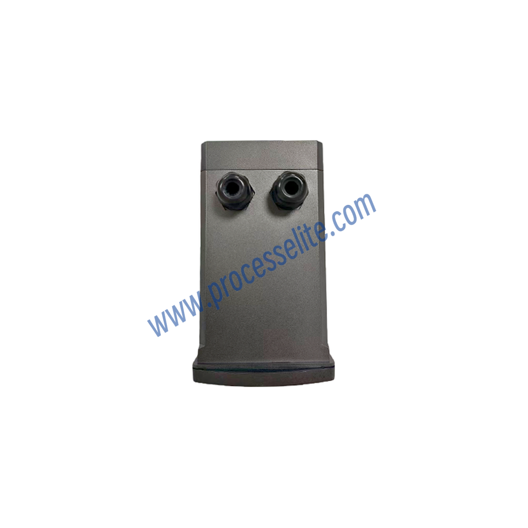 RWDOTY Analog Dissolved Oxygen Transmitter - Processelite