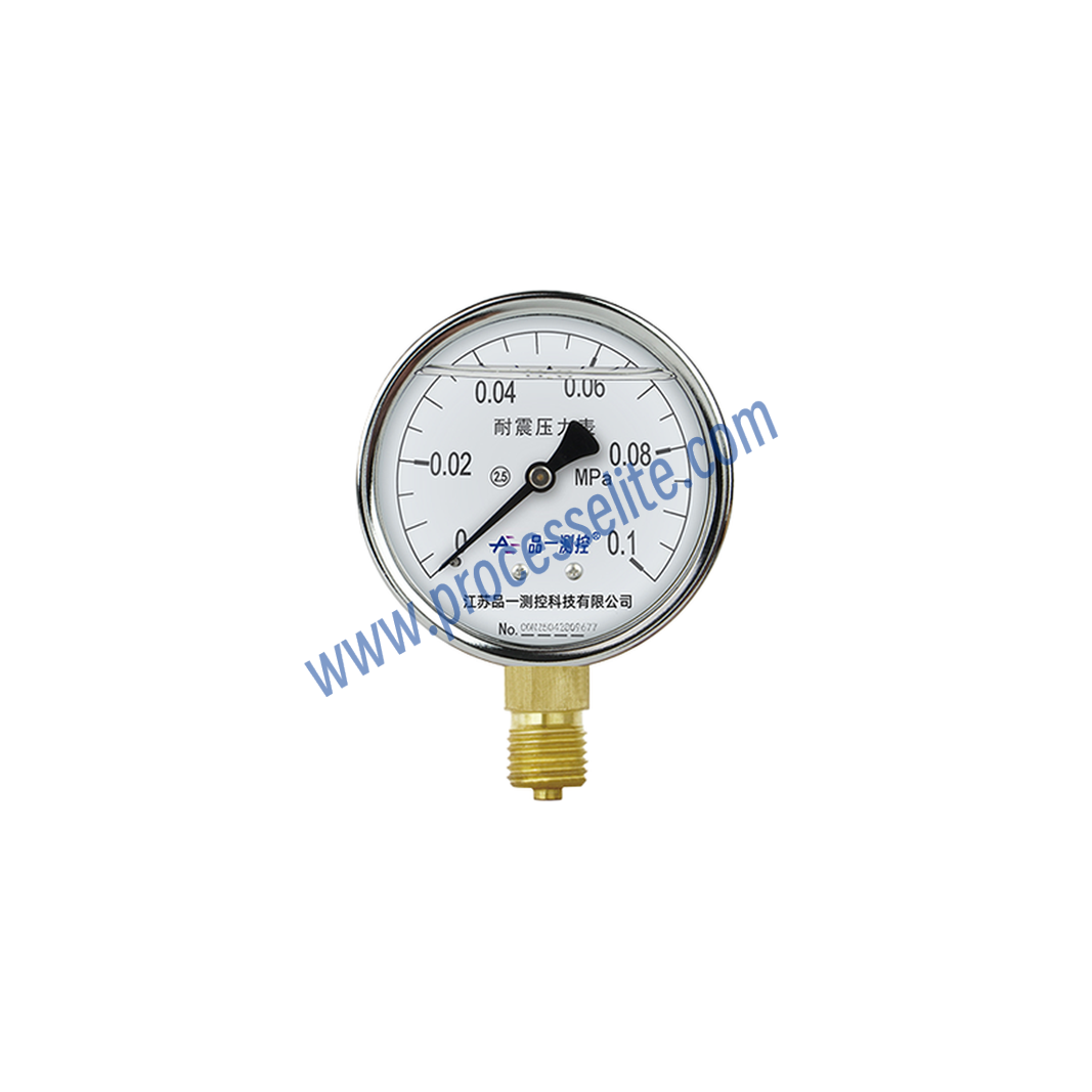 YTN Vibration-resistant General Pressure Gauge - Processelite