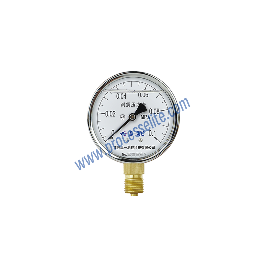 YTN Vibration-resistant General Pressure Gauge - Processelite