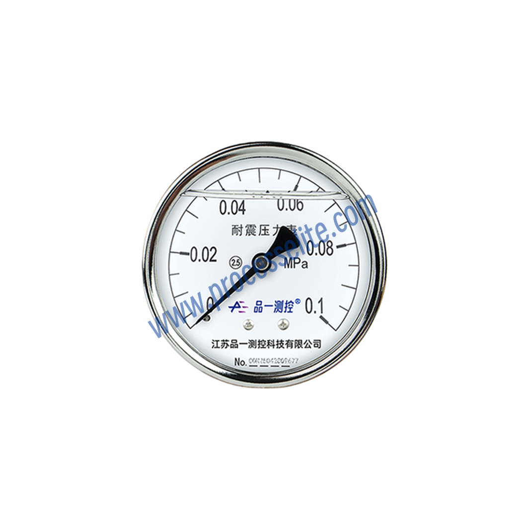 YTN Vibration-resistant General Pressure Gauge - Processelite