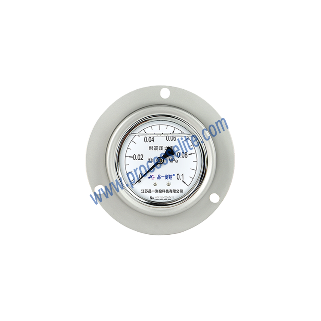 YTN Vibration-resistant General Pressure Gauge - Processelite