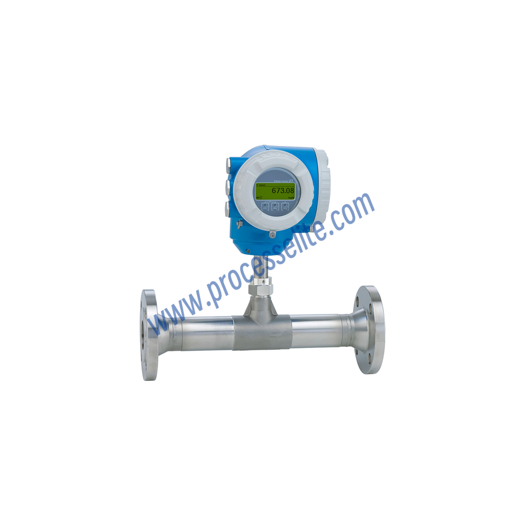 6F3B Thermal Mass Flowmeter - Processelite