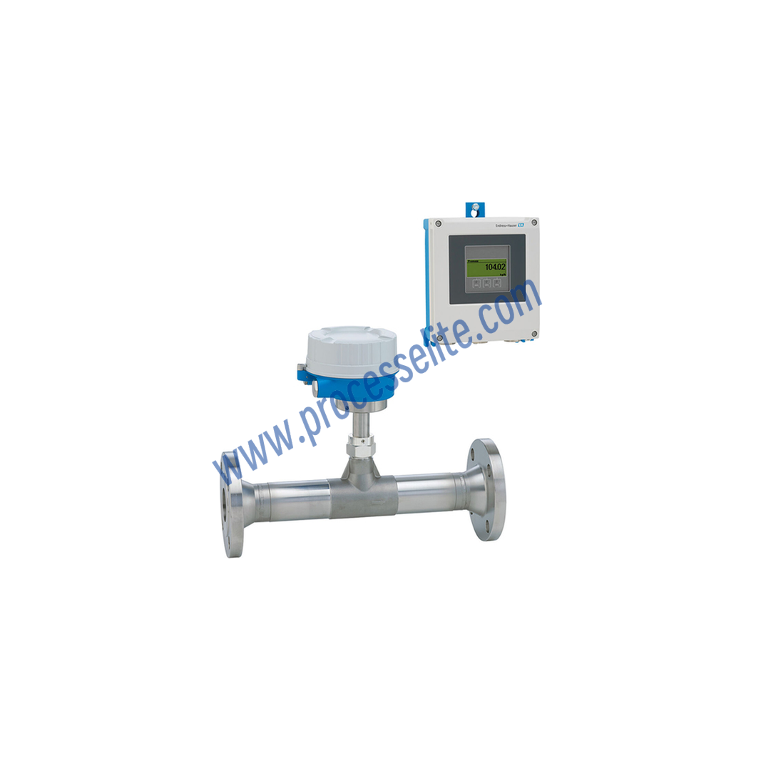 6F5B Thermal Mass Flowmeter - Processelite